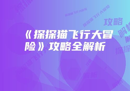 《探探猫飞行大冒险》攻略全解析