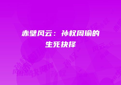 赤壁风云：孙权周瑜的生死抉择