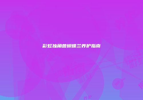 彩虹独角兽蝴蝶兰养护指南