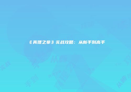 《真理之拳》实战攻略：从新手到高手