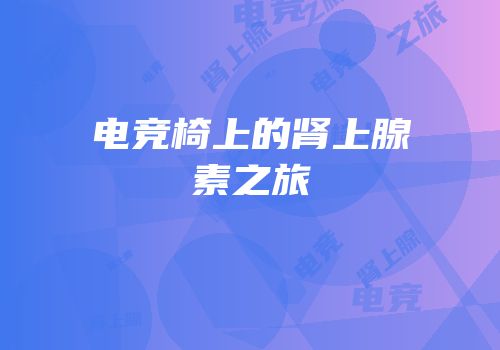 电竞椅上的肾上腺素之旅