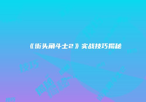 《街头角斗士2》实战技巧揭秘