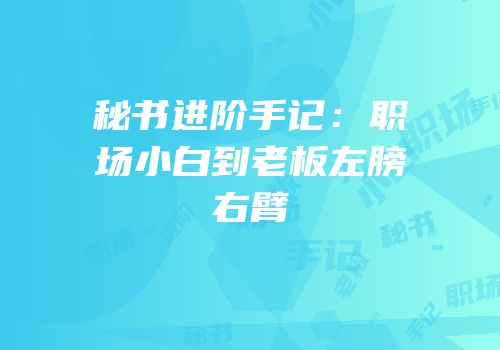 秘书进阶手记：职场小白到老板左膀右臂