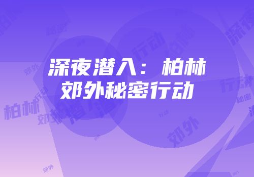 深夜潜入：柏林郊外秘密行动
