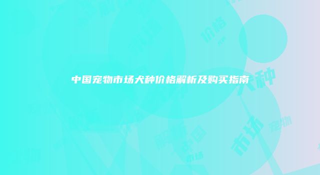 中国宠物市场犬种价格解析及购买指南