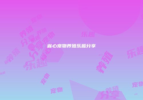 省心宠物养殖乐趣分享