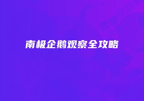南极企鹅观察全攻略