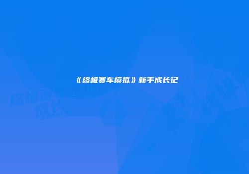 《终极赛车模拟》新手成长记