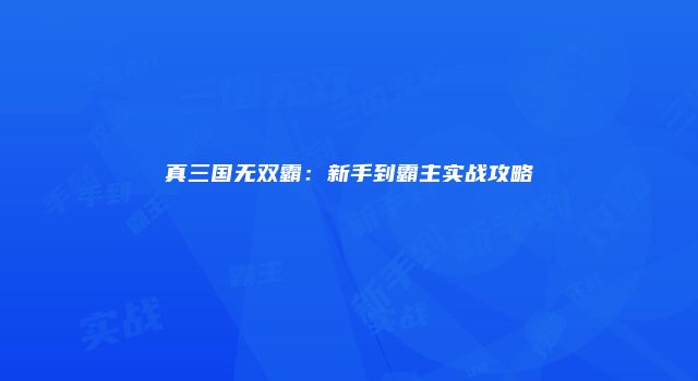 真三国无双霸：新手到霸主实战攻略