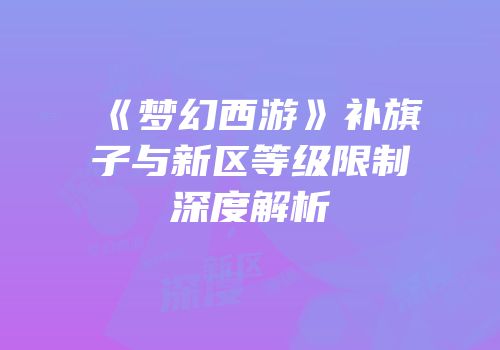 《梦幻西游》补旗子与新区等级限制深度解析