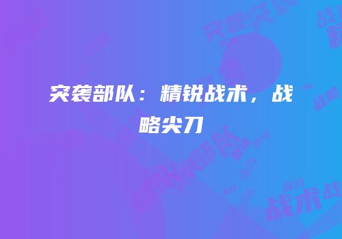 突袭部队：精锐战术，战略尖刀