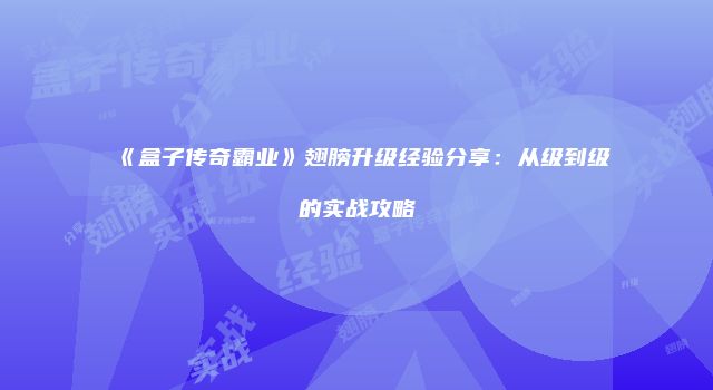 《盒子传奇霸业》翅膀升级经验分享：从级到级的实战攻略
