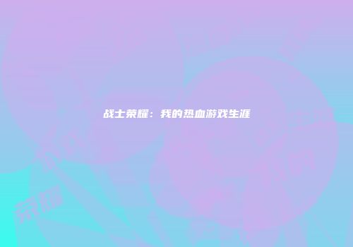 战士荣耀：我的热血游戏生涯