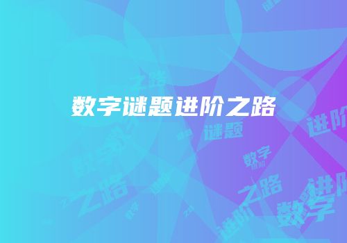 数字谜题进阶之路