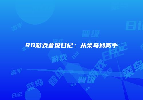 911游戏晋级日记：从菜鸟到高手