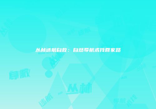 丛林迷航自救：自然导航术找回家路