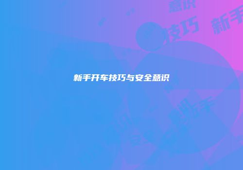新手开车技巧与安全意识