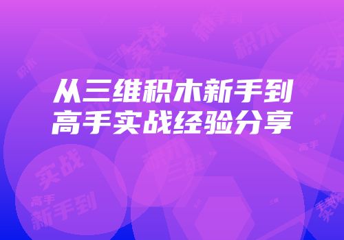 从三维积木新手到高手实战经验分享