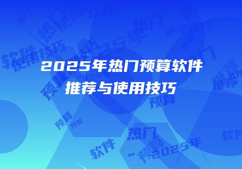 2025年热门预算软件推荐与使用技巧