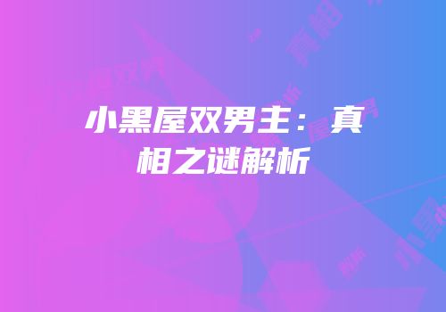 小黑屋双男主：真相之谜解析