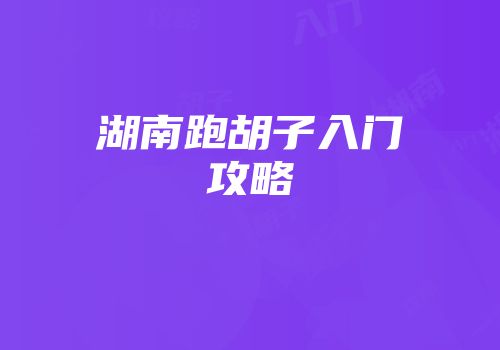 湖南跑胡子入门攻略