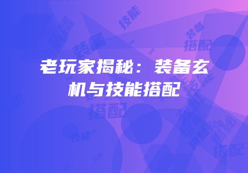 老玩家揭秘：装备玄机与技能搭配