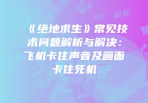 《绝地求生》常见技术问题解析与解决：飞机卡住声音及画面卡住死机