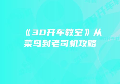 《3D开车教室》从菜鸟到老司机攻略