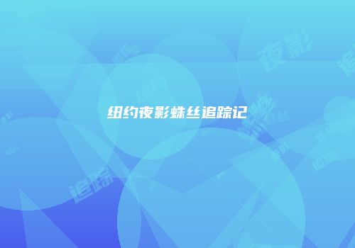 纽约夜影蛛丝追踪记