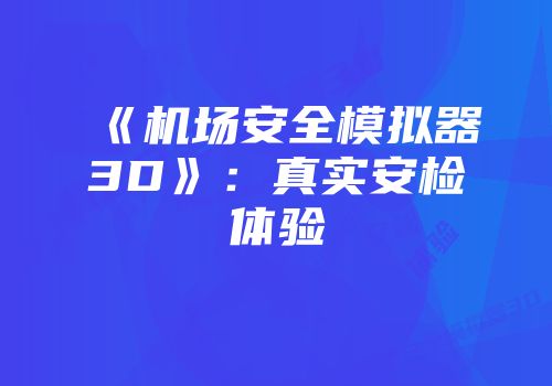 《机场安全模拟器3D》：真实安检体验