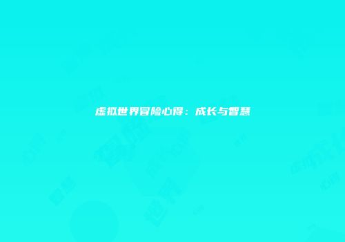 虚拟世界冒险心得：成长与智慧