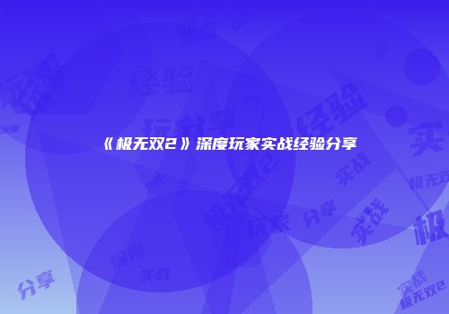 《极无双2》深度玩家实战经验分享