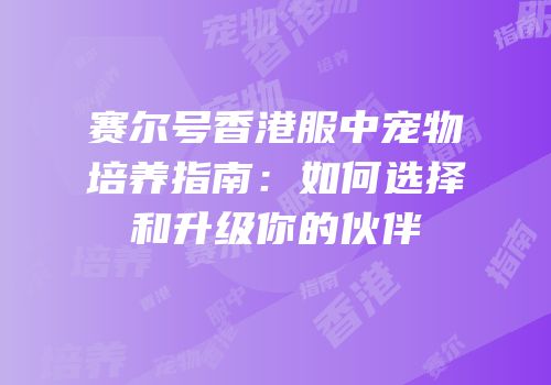 赛尔号香港服中宠物培养指南：如何选择和升级你的伙伴