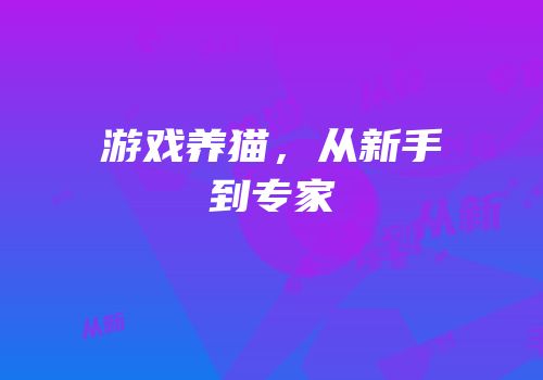游戏养猫，从新手到专家