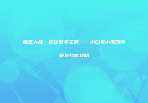 第五人格：揭秘宿伞之魂——小白与小黑的传奇与技能攻略