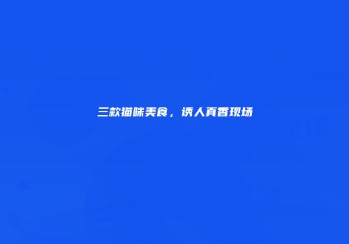 三款猫咪美食，诱人真香现场