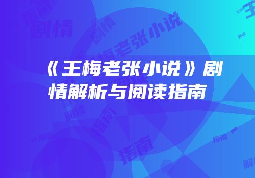 《王梅老张小说》剧情解析与阅读指南