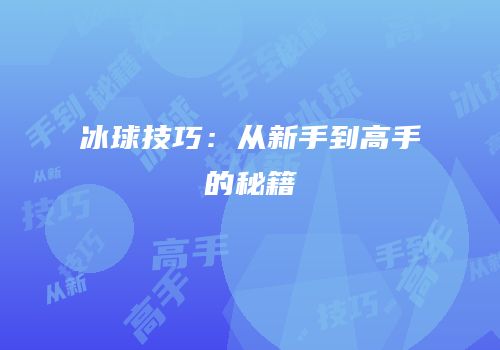冰球技巧：从新手到高手的秘籍