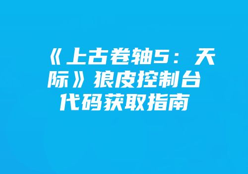 《上古卷轴5：天际》狼皮控制台代码获取指南