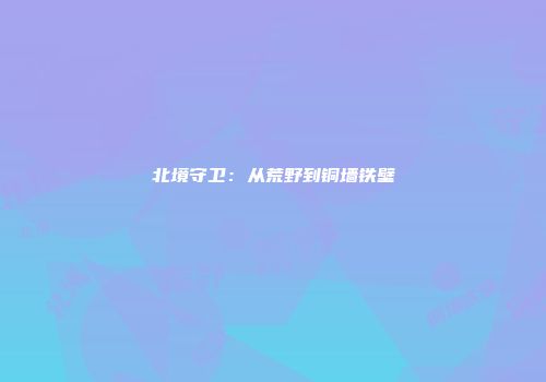 北境守卫：从荒野到铜墙铁壁