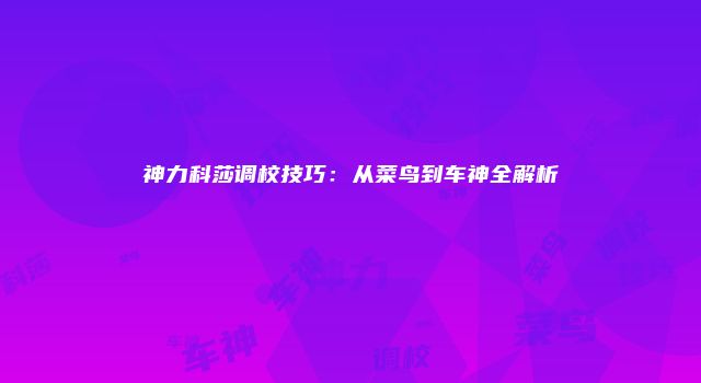 神力科莎调校技巧：从菜鸟到车神全解析