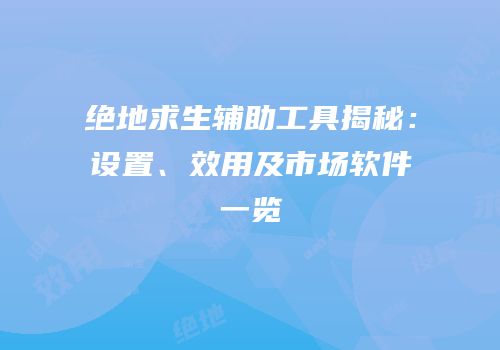 绝地求生辅助工具揭秘：设置、效用及市场软件一览