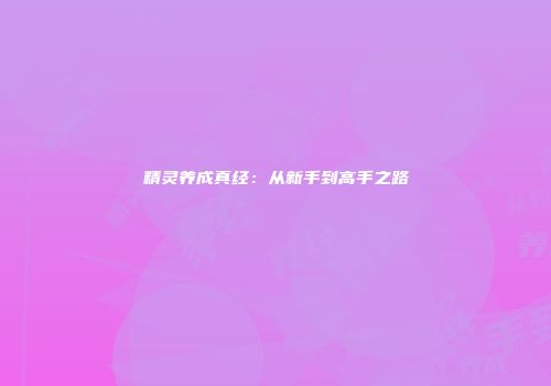 精灵养成真经：从新手到高手之路
