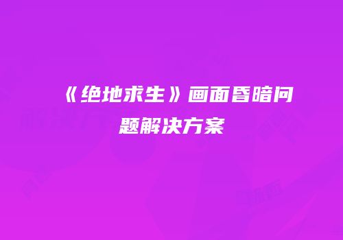 《绝地求生》画面昏暗问题解决方案