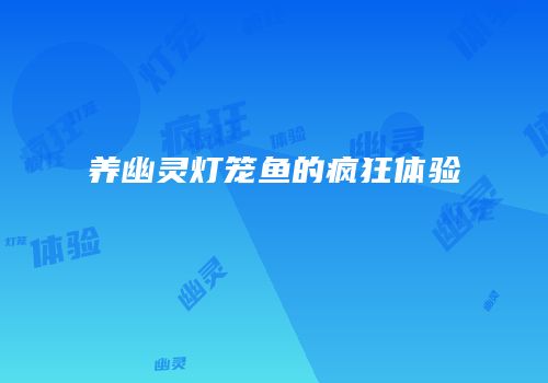 养幽灵灯笼鱼的疯狂体验
