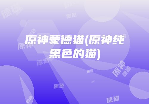 原神蒙德猫(原神纯黑色的猫)