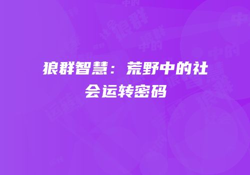 狼群智慧：荒野中的社会运转密码