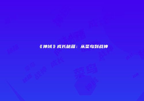 《神域》成长秘籍：从菜鸟到战神
