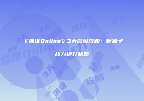 《盛世Online》3天满级攻略：野路子战力提升秘籍