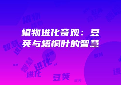 植物进化奇观：豆荚与梧桐叶的智慧